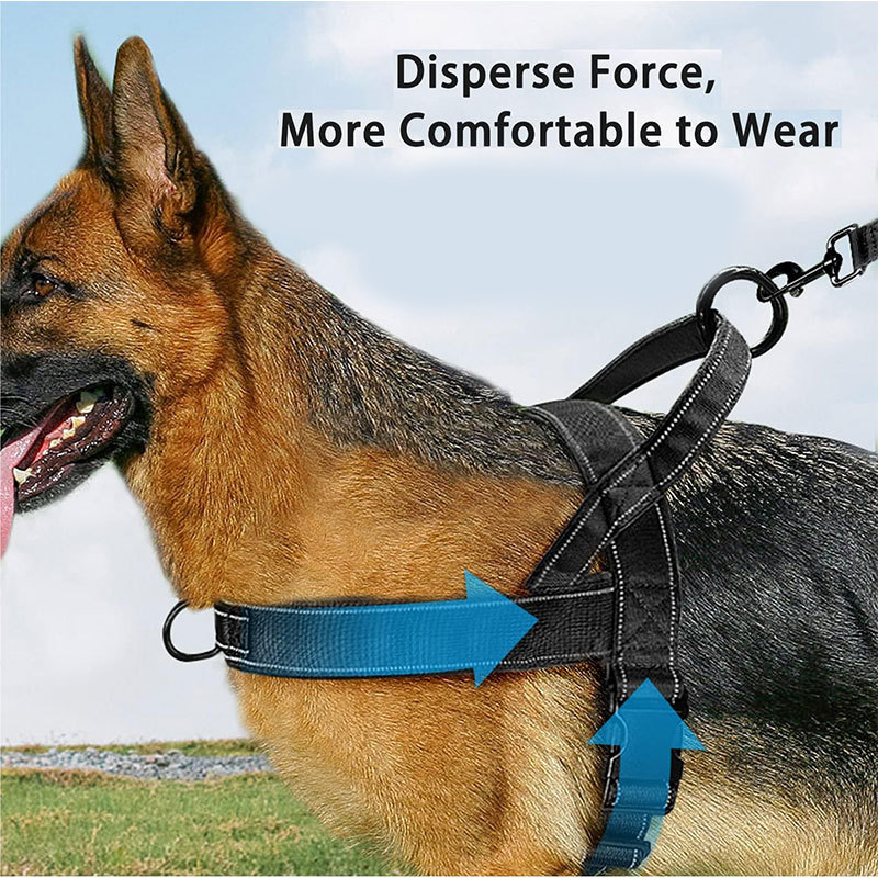 Harnais tactique robuste pour chien 2026 – Anti-traction, anti-étranglement. Bandes réfléchissantes pour les promenades nocturnes. Poignée rembourrée et facile à prendre en main.