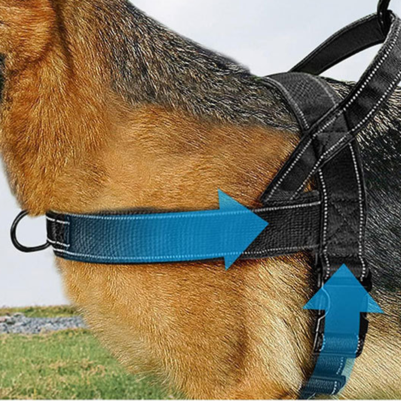 Harnais tactique robuste pour chien 2026 – Anti-traction, anti-étranglement. Bandes réfléchissantes pour les promenades nocturnes. Poignée rembourrée et facile à prendre en main.