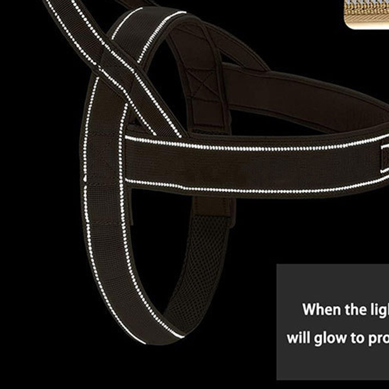 Harnais tactique robuste pour chien 2026 – Anti-traction, anti-étranglement. Bandes réfléchissantes pour les promenades nocturnes. Poignée rembourrée et facile à prendre en main.