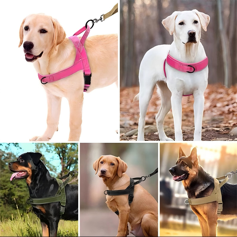 Harnais tactique robuste pour chien 2026 – Anti-traction, anti-étranglement. Bandes réfléchissantes pour les promenades nocturnes. Poignée rembourrée et facile à prendre en main.