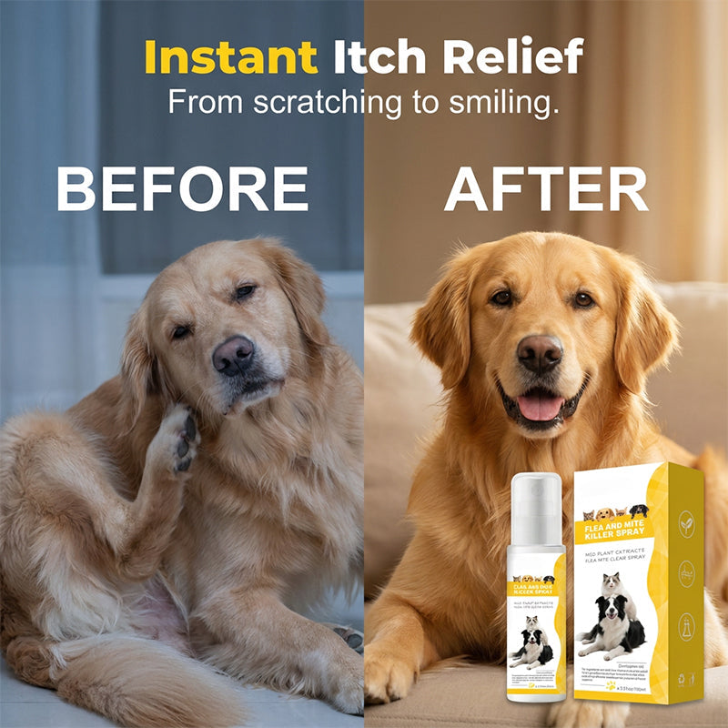 Répulsif antiparasitaire doux pour animaux de compagnie en spray