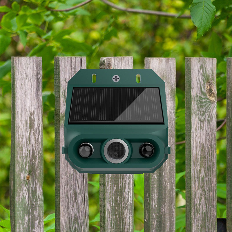 Répulsif animal solaire 2026 – Ultrasons + lumière clignotante. Résistant aux intempéries, protection 24h/24 et 7j/7. Éloigne les nuisibles naturellement.