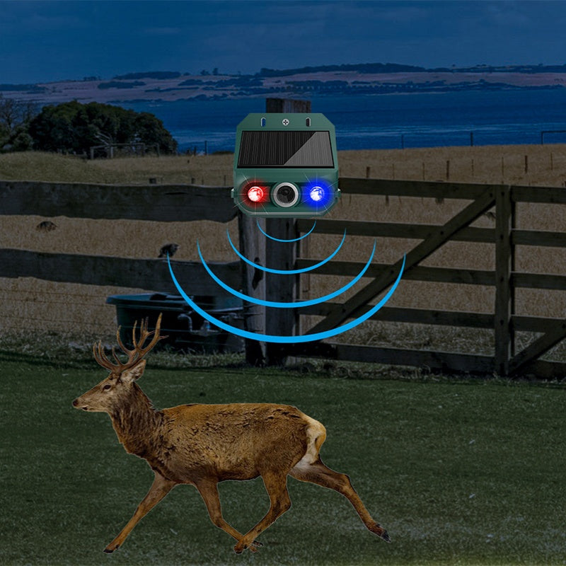 Répulsif animal solaire 2026 – Ultrasons + lumière clignotante. Résistant aux intempéries, protection 24h/24 et 7j/7. Éloigne les nuisibles naturellement.