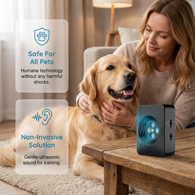 Dispositif anti-aboiement à ultrasons pour chiens
