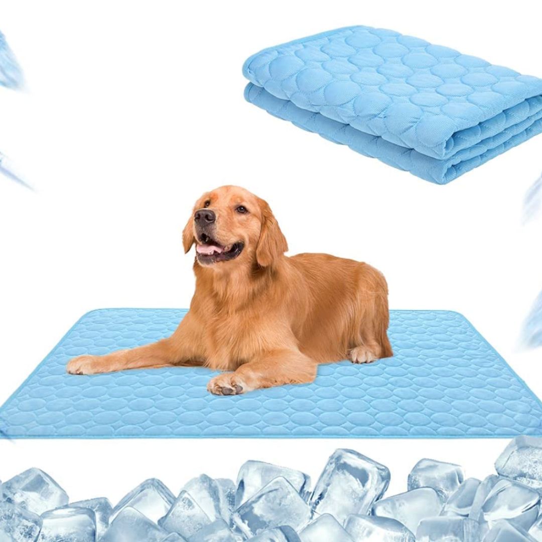 Tapis Rafraîchissant Premium Pour Animaux