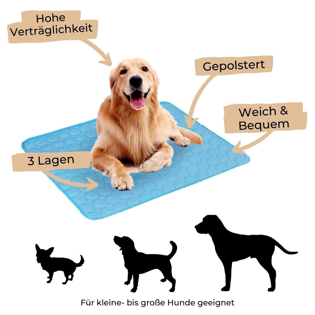 Tapis Rafraîchissant Premium Pour Animaux