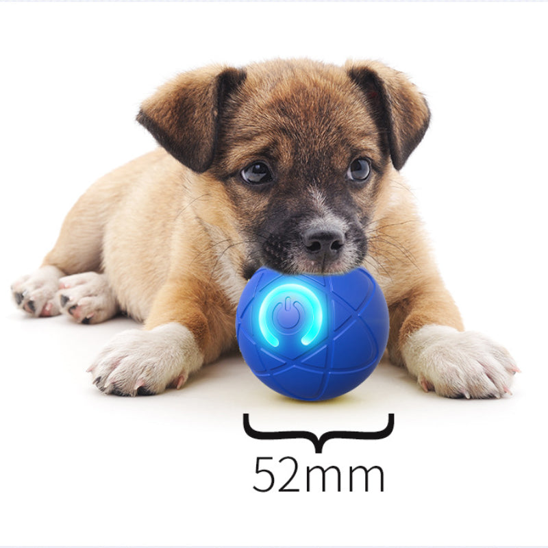 BALLE INTELLIGENTE INTERACTIVE POUR ANIMAUX DE COMPAGNIE AVEC TÉLÉCOMMANDE — 3 Modes Interactifs | E-TPU Résistant à la Mastication | Rechargeable USB-C