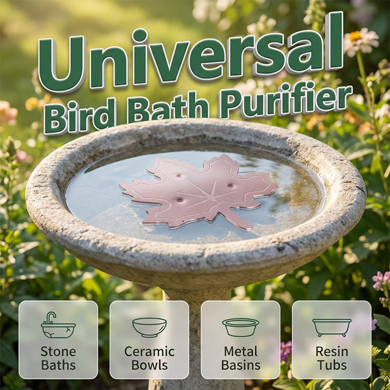 Purificateur universel pour bain d'oiseaux