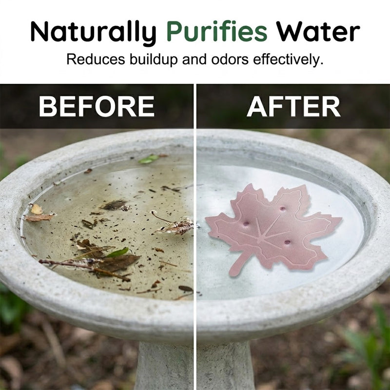 Purificateur universel pour bain d'oiseaux