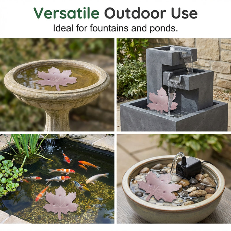 Purificateur universel pour bain d'oiseaux