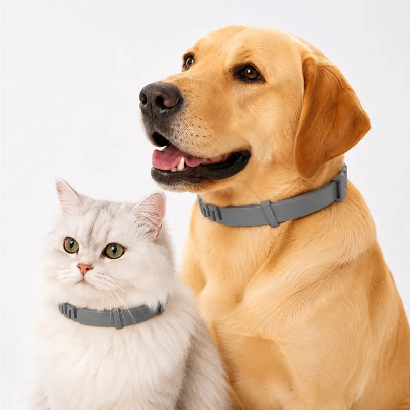 Colliers anti-puces et tiques réglables pour chiens et chats