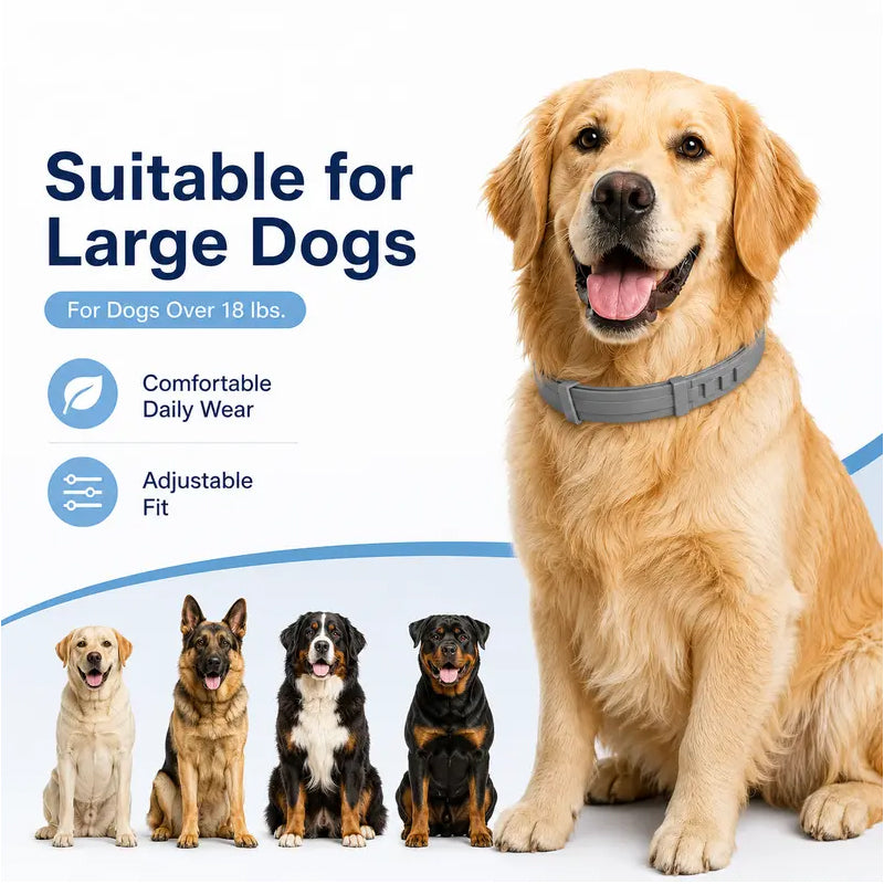 Colliers anti-puces et tiques réglables pour chiens et chats