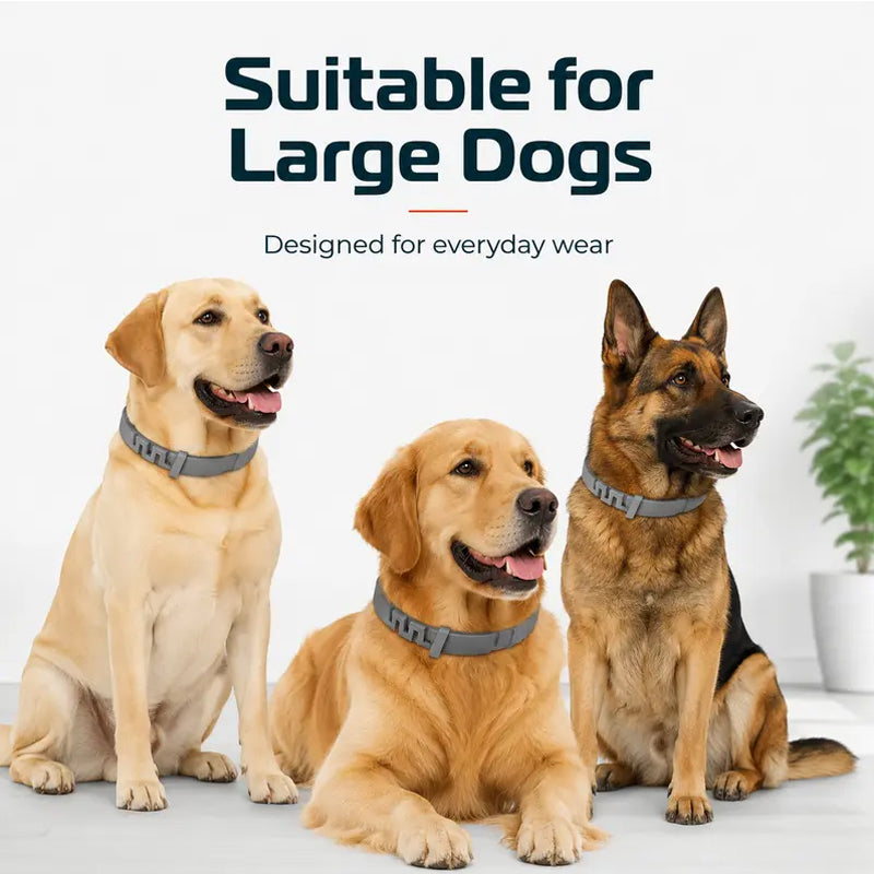 Colliers anti-puces et tiques réglables pour chiens et chats