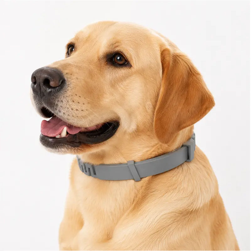 Colliers anti-puces et tiques réglables pour chiens et chats