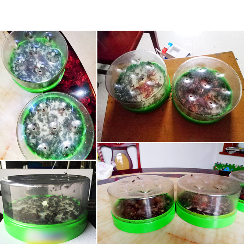 Piège à mouches réutilisable : sans électricité, sans poison ! Utilisation sûre dans la cuisine, autour des enfants et des animaux domestiques.