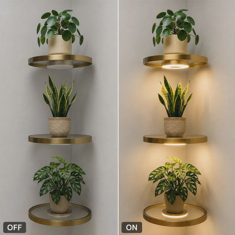 Étagère murale flottante rechargeable Gold©\Finish LED Ambient Light