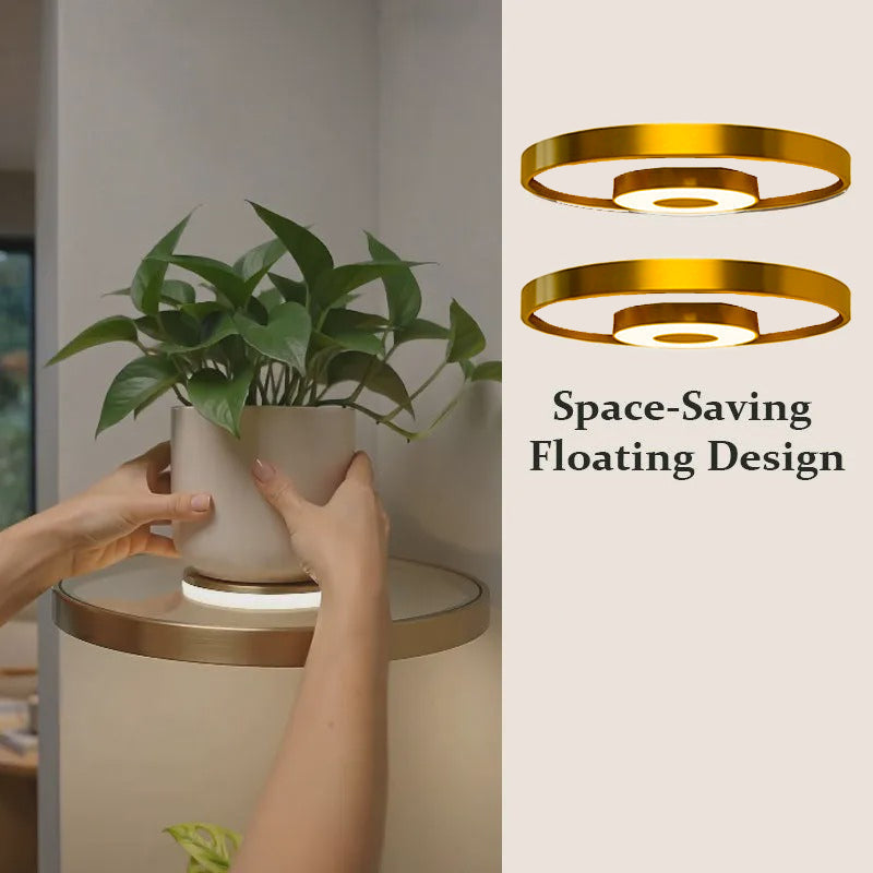 Étagère murale flottante rechargeable Gold©\Finish LED Ambient Light