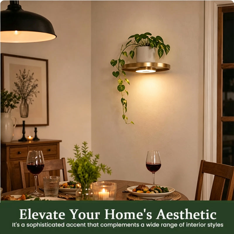 Étagère murale flottante rechargeable Gold©\Finish LED Ambient Light