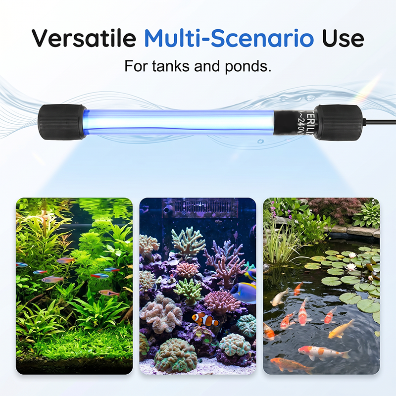 Branchez. Immergez. Clarifiez. Stérilisateur UV pour aquarium – 254 nm, quartz, 3-7 jours