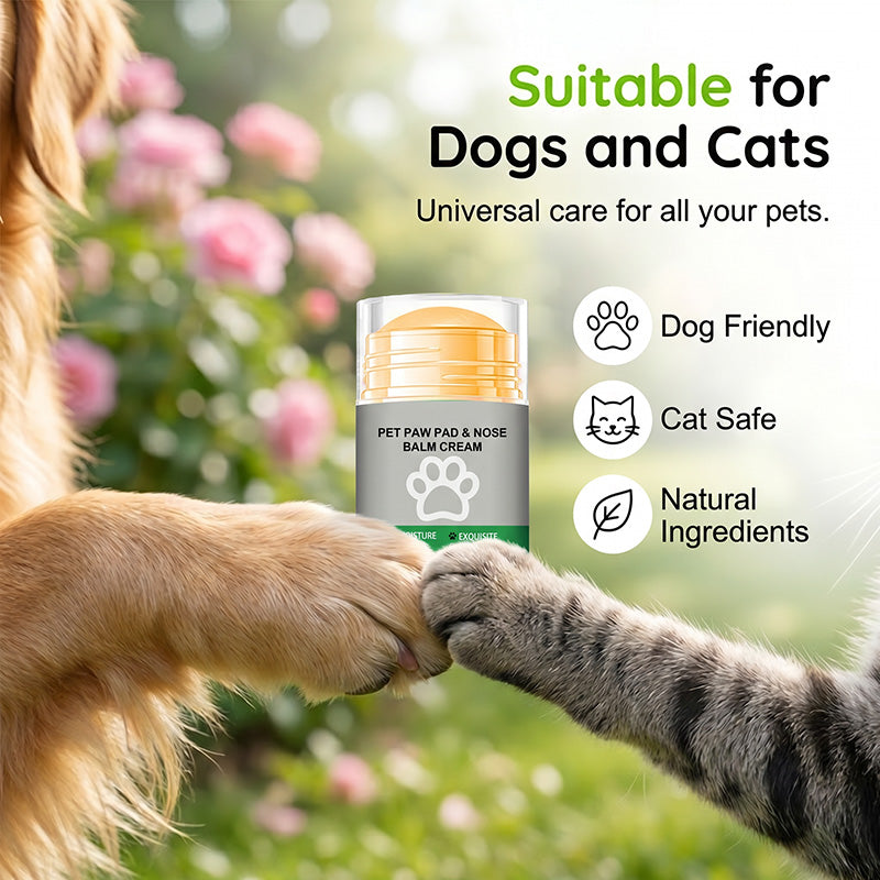 Baume hydratant pour coussinets d'animaux en stick – Coco et cire d'abeille, sans danger en cas de léchage, application facile et sans saleté