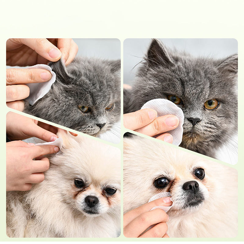 Surprise ! Garder votre ami à quatre pattes propre est essentiel ! Lingettes nettoyantes naturelles à base de plantes pour les yeux et les oreilles des animaux.
