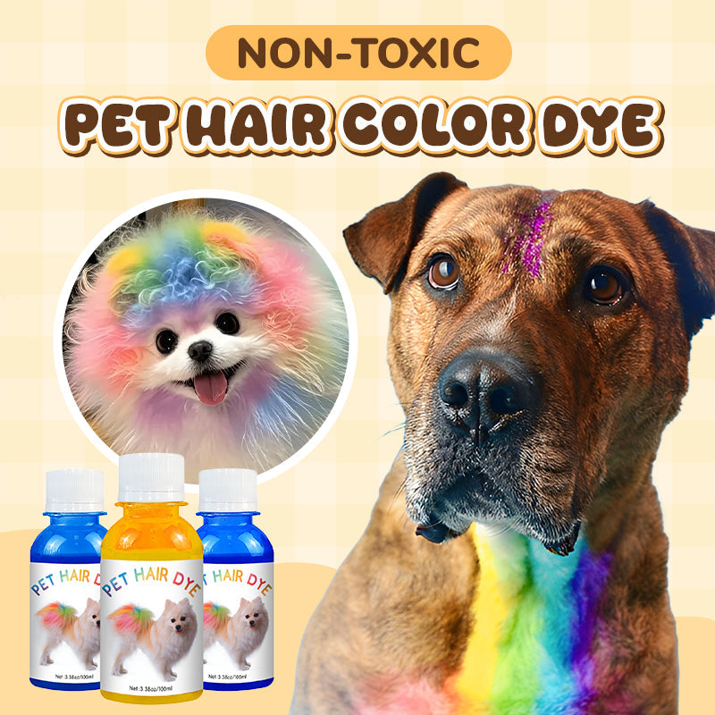 Teinture non toxique pour poils d'animaux – temporaire, lavable, 12 couleurs, pour chiens et chats