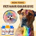 Teinture non toxique pour poils d'animaux – temporaire, lavable, 12 couleurs, pour chiens et chats