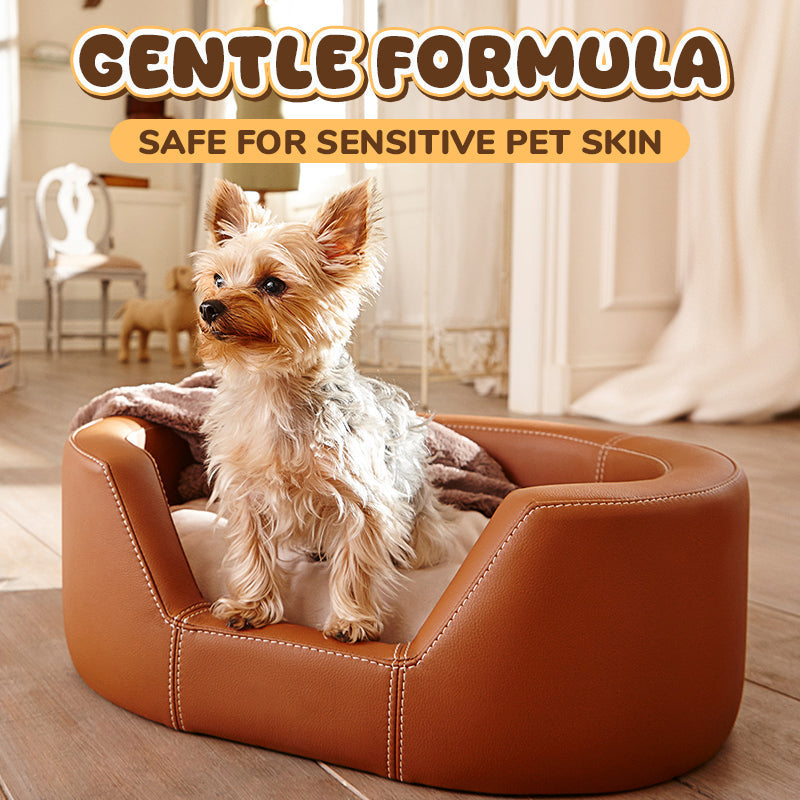 Teinture non toxique pour poils d'animaux – temporaire, lavable, 12 couleurs, pour chiens et chats