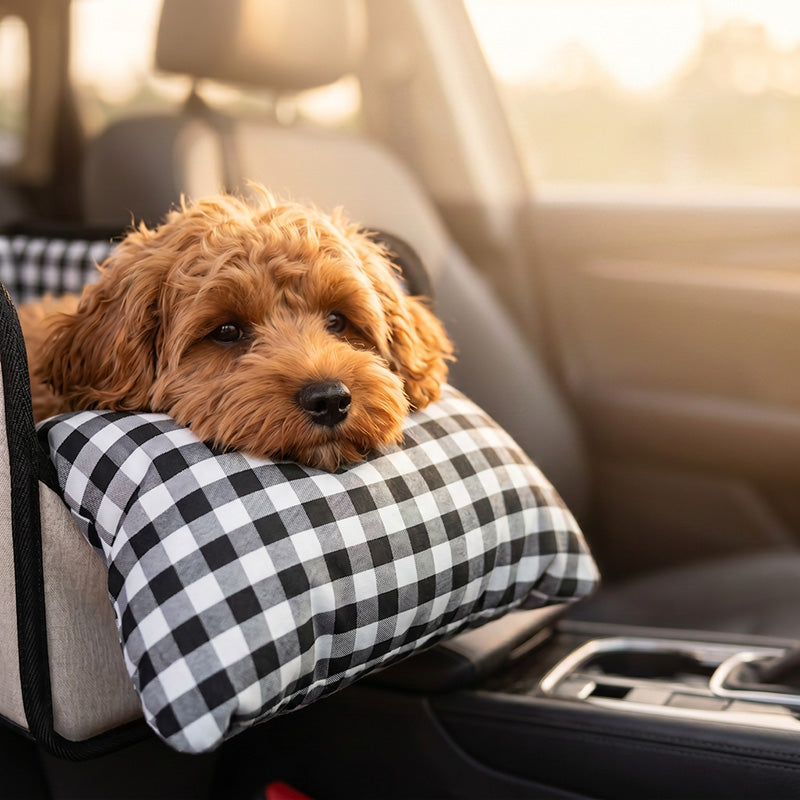 Rehausseur de voyage sécurisé pour animaux de compagnie