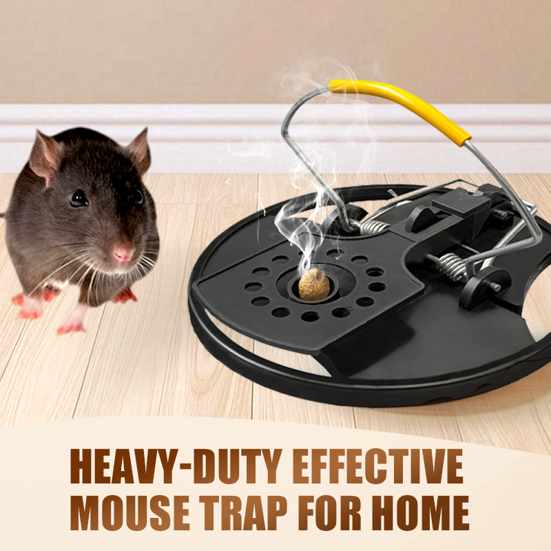 Piège à souris robuste et efficace pour la maison