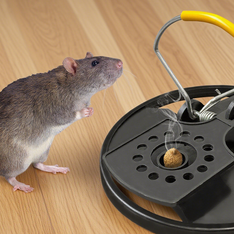 Piège à souris robuste et efficace pour la maison