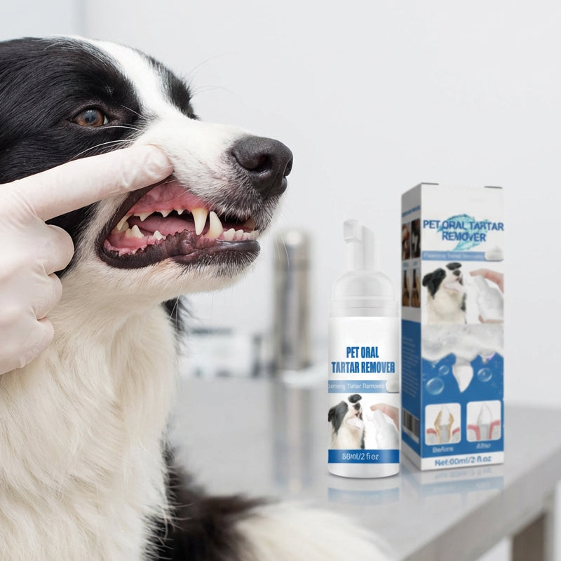 Nettoyant mousse anti-tartre buccal pour animaux