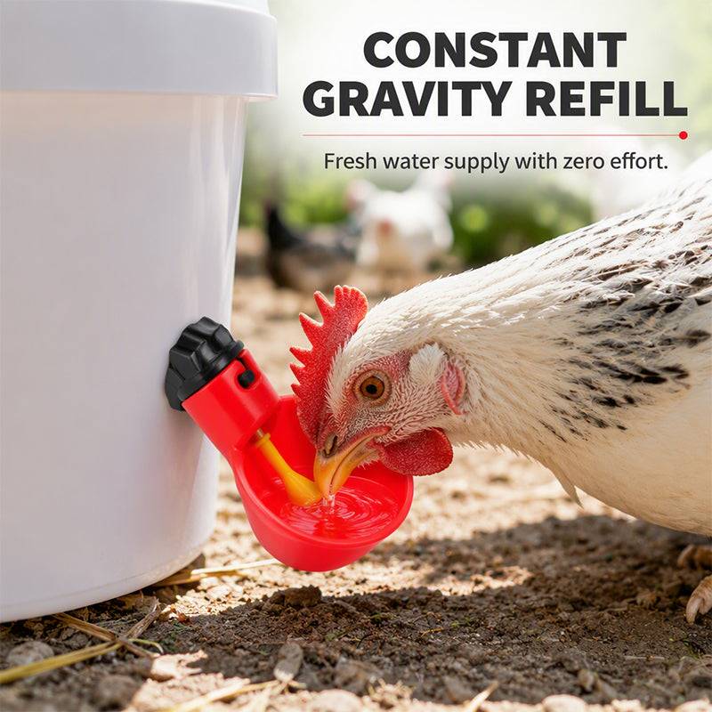 Abreuvoirs automatiques pour poulets à gravité