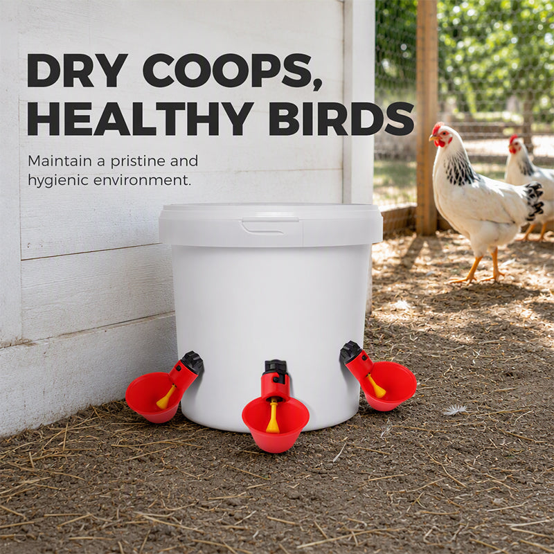 Abreuvoirs automatiques pour poulets à gravité