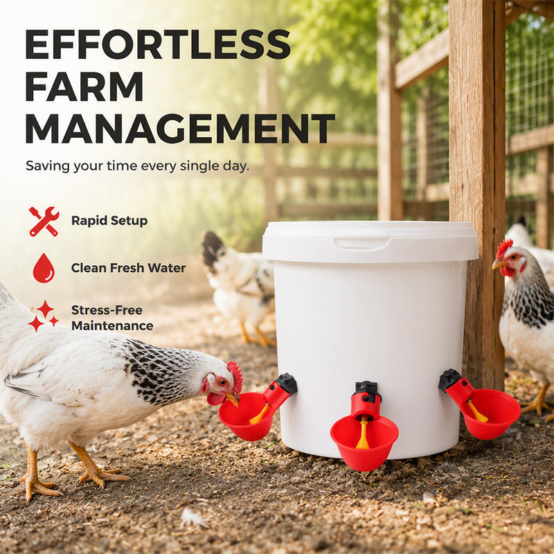 Abreuvoirs automatiques pour poulets à gravité