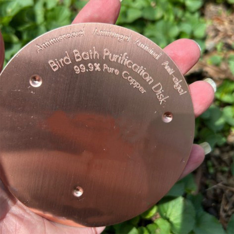 Anti-algues naturel pour bains d'oiseaux et fontaines
