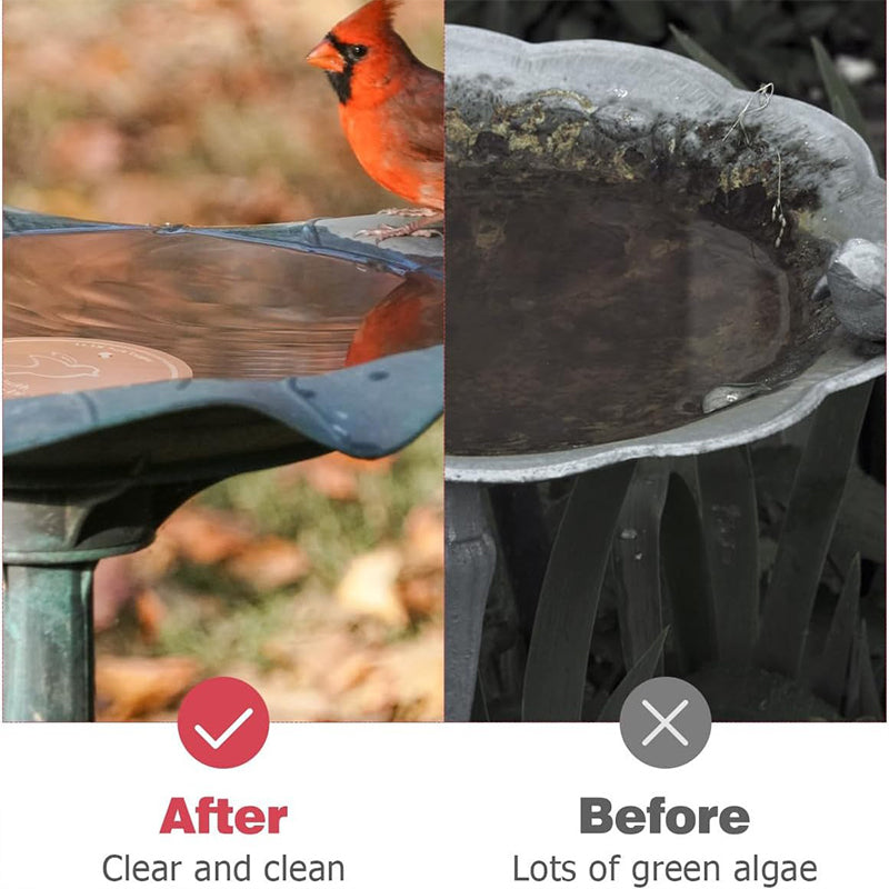 Anti-algues naturel pour bains d'oiseaux et fontaines