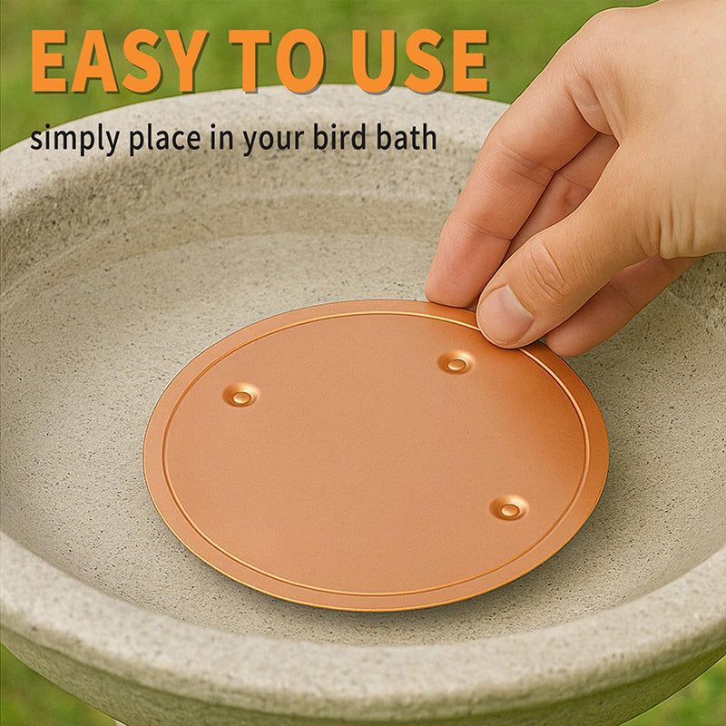 Anti-algues naturel pour bains d'oiseaux et fontaines