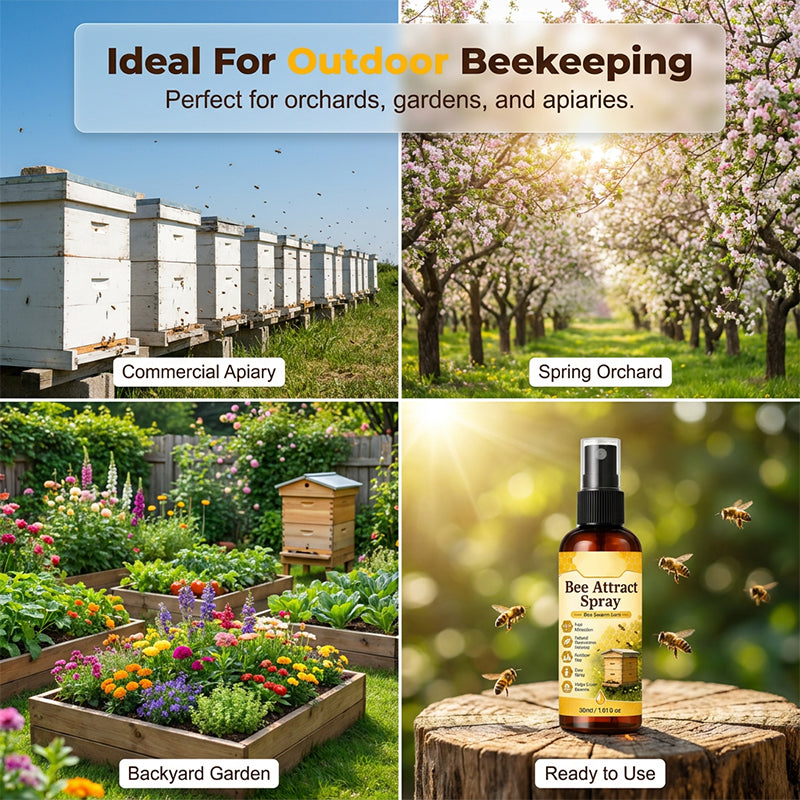 Spray attractif naturel pour abeilles en extérieur